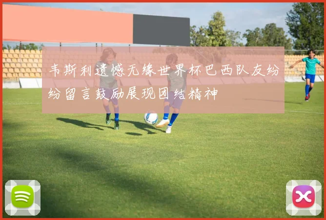 韦斯利遗憾无缘世界杯巴西队友纷纷留言鼓励展现团结精神