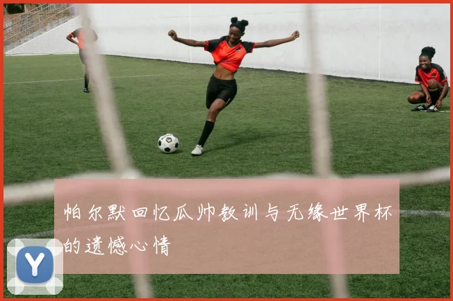 帕尔默回忆瓜帅教训与无缘世界杯的遗憾心情